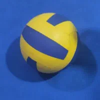 توپ فوتبال