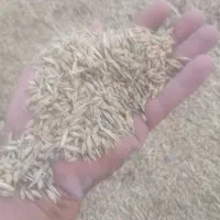 جو تمیز|عمده‌فروشی|هندیجان, |دیوار