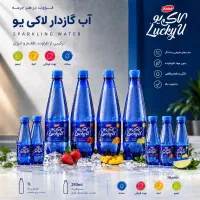 جذب سرپرست و تیم فروش مویرگی در زنجان