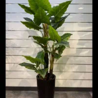 پخش عمده و تک به قیمت عمده انواع درختچه مصنوعی