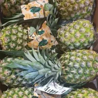 زنجبیل+آناناس، گوجه سبز