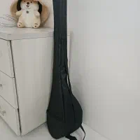 تنبور ، دو تار