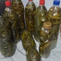 خیارشور خانگی
