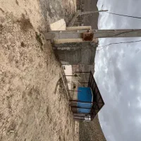 فروش باغ با بنا در فیروزکوه