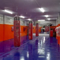 کیک بوکسینگ بین المللی ویژه بانوان