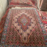 خرک ماهی جفت نو