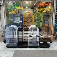 جشنواره فروش قفس چهارلیوان عروس کوتوله در 5 رنگ