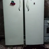 یخجال فلیزر دوقلو