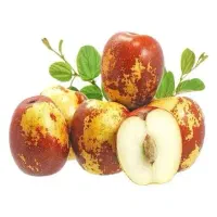 نهال میوه استوایی انبه پاپایا گواوا و کنار و موز