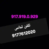 917.919.0929