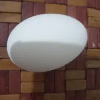 تخم غاز درشت