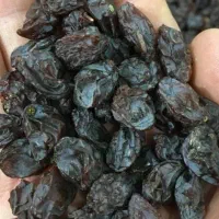 کشمش مویز بش آفتابی عمده به شرط