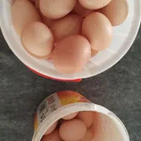 تخم مرغ|خوردنی و آشامیدنی|کلاله, |دیوار