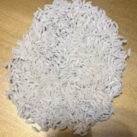 برنج هاشمی ارگانیک سورت شده محصول خودم
