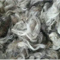پشم گوسفندی