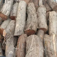 چوپ بری وهرسکاری
