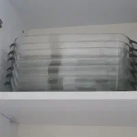 مرغ خوری