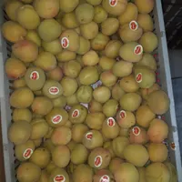 اجاره مغازه ۳۰ متری در وحیدیه|اجارهٔ مغازه و غرفه|تهران, وحیدیه|دیوار
