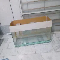 آکواریوم سالم
