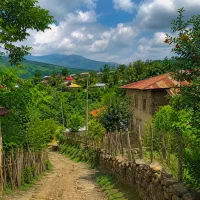 فرصت خرید زمین در دهستان کارزان ..روستای چشمه‌پهن