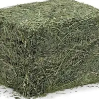 خریدار یونجه قیمت بالا