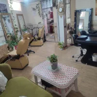 جذب نیروی حرفه ای