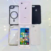 اپل 8 و اپل 7 خشک