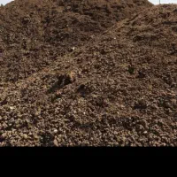 کود مرغی خوب  و.  گاوی