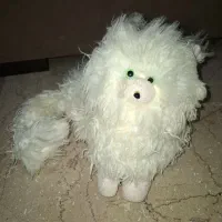 عروسک گربه پشمالو سفید نو