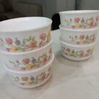 کاسه ماست خوری