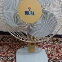 پنکه