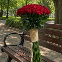 گل رز هلندی قرمز
