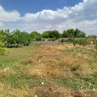 زمین 300 متری مناسب سرمایه گذاری