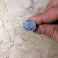 انگشتر شجر قدیمی