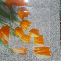 میوه خوری|ظروف سرو و پذیرایی|تهران, خاک سفید|دیوار