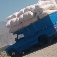 کاه نخود ۴ تریلی