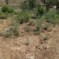زمین درروستای تفریحی خراسانلو