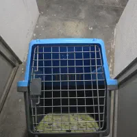 باکس پت باکس سگ باکس گربه سایز بزرگ