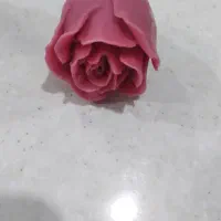 قالب سیلیکون