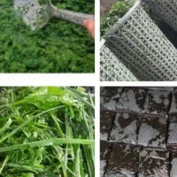 سبزی خورشتی  آب‌پز  کنجد ادویه سبزی خشک