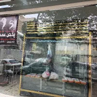 پخش عمده بوقلمون و بلدرچین و شترمرغ در میدان بهمن