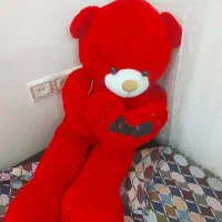 یک عدد خرس قرمز