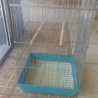 قفس پرنده فقط وفقط ۵۰۰ هزارتومن