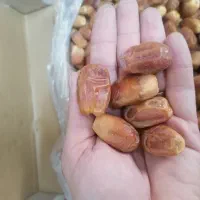 خرمازاهدی درجه یک (طلحه)