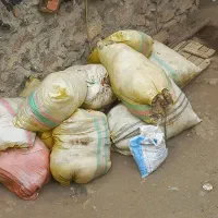 پشم گوسفند مغان