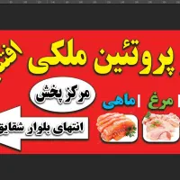 قصاب ماهر فروشنده مرغ خردکن