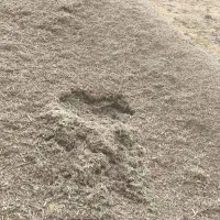 علف فروشی گزره