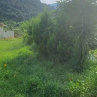 ۶۰۰متر/باغات داخل طرح/براصلی/جاده ضیابر/روستا لالم