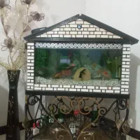 اکواریوم