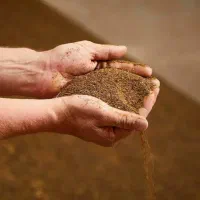 پودر گوشت،پودر ماهی با پروتیین بالا و قیمت مناسب